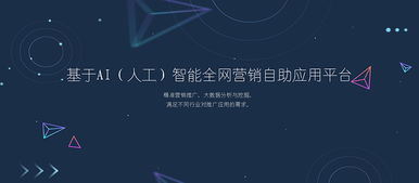 兰州焦点网络科技 数字丝路上的创新引擎